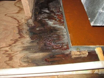 About water damage cleanup - ceiling water damage repair experts in Cleveland